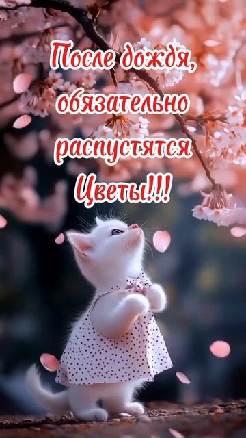 Добрый вечер. Доброе утро. ВидеоОткрытки на каждый день