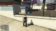 GTA 5 Majestic (Miami) сервер. 6