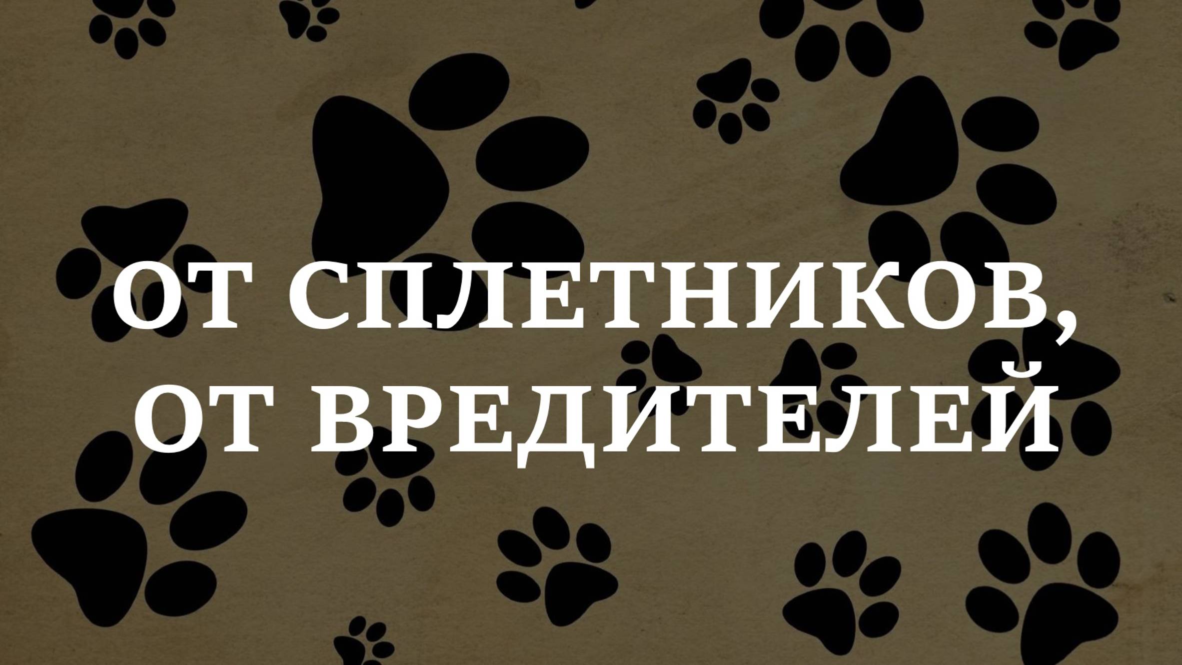 ОТ СПЛЕТНИКОВ, ОТ ВРЕДИТЕЛЕЙ | Чур меня от любого врага