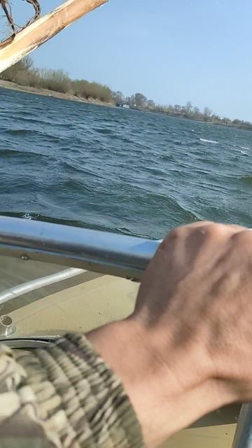 1000150449.mp4
