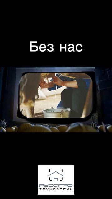 Выбирайте нас, чтобы улучшить качество молока и оптимизировать Ваше хозяйство!
#миньоны #коровы #мем