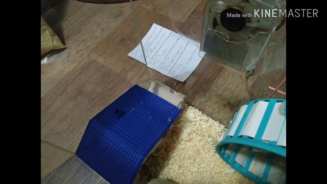 Уборка у хомяка🐹