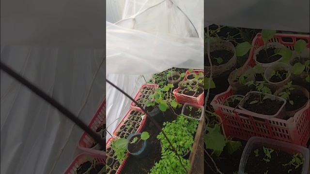 11 апреля