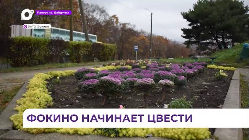 Работы по благоустройству и озеленению стартовали в Фокино