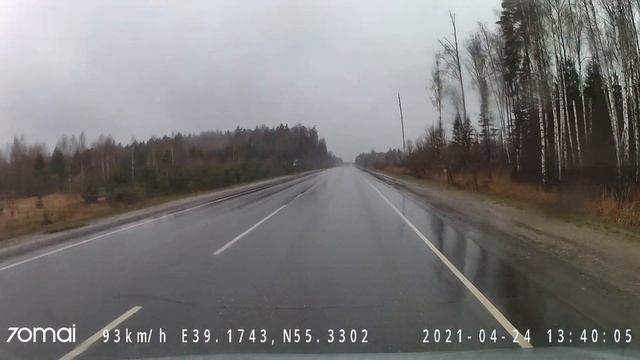 То лисы, то лоси...