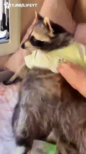 все мы немного #Тёмачка