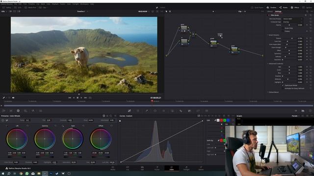 Comment avoir le grain PARFAIT sur Davinci Resolve ?