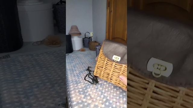 1000028670.mp4