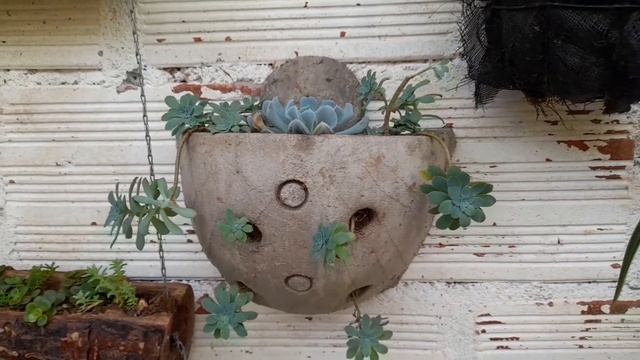 Les enseño mi jardin espero les guste