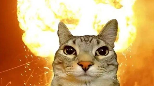 Нэкодзима ответ Гаге