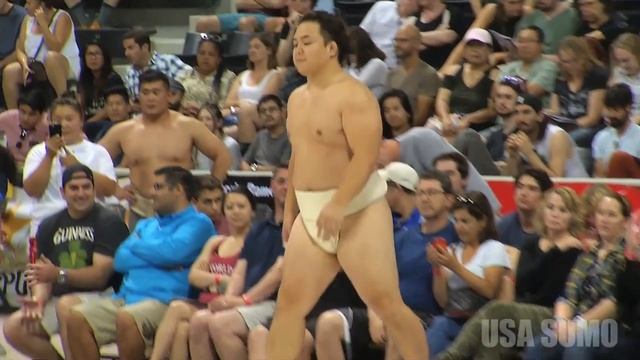 2017 US SUMO OPEN -- MIDDLEWEIGHT Division