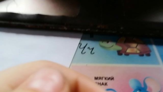 играю с хомяком