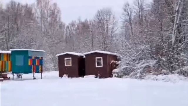 улей МУРТАЗы