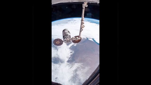 Роботизированная 17 - метровая космическая рука. Обслуживает станцию, стыкует космические корабли.