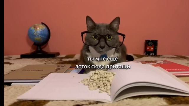 посмотрите как хорошо впитывает 🤣🤣