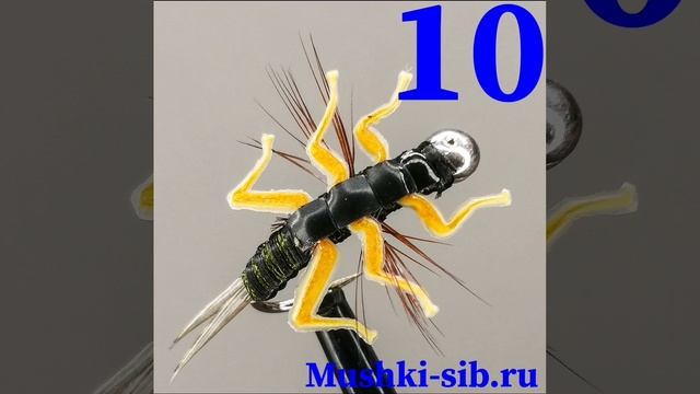 Команда MUSHKI-SIB.RU желает всем отличного настроения и хорошего дня! Быть добру. 🤝🤝🤝