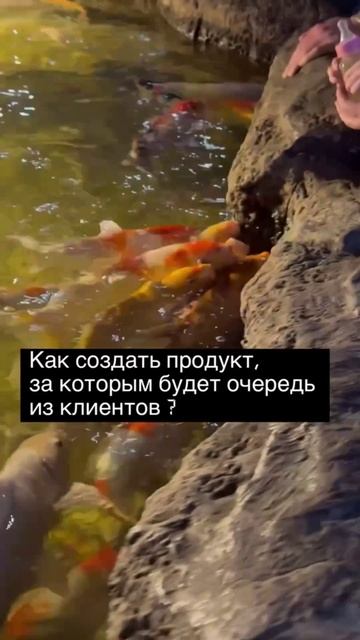 Как создать продукт за которым будет очередь из клиентов ? #продажи #продвижение #личныйбренд