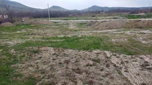 VID_20250411_101033_328.mp4