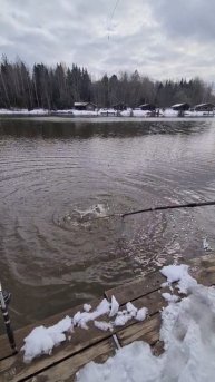Поимка форели. Песчаный берег.