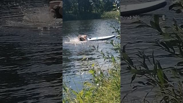 VID_20240711_112821.mp4