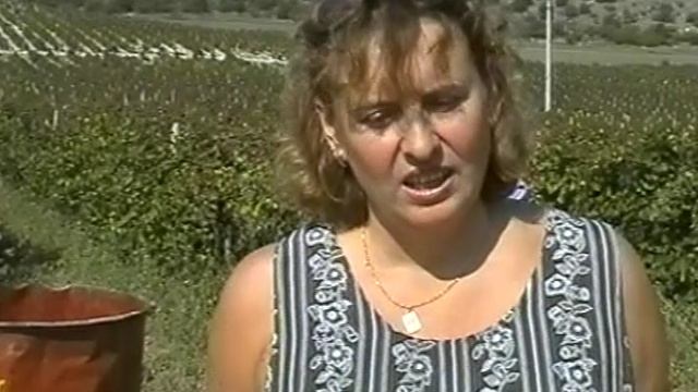 2003. Строительный техникум еа полях Золотой балки