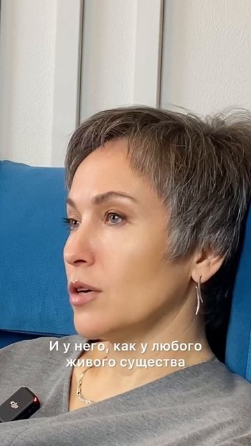 За что люди платят налоги? #налоги #налогнаприбыль #налоговыйконсалтинг #налоговоеобразование