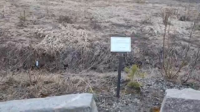 Памятник каменотесам Карелии