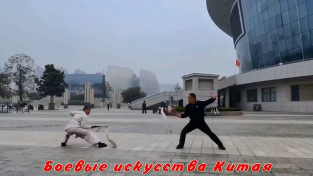 Боевые ТанцФормы (конский хвост Фучень)