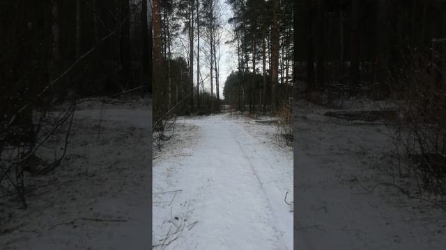 Апрель 2025 года. Погода. Санкт-Петербург и Ленобласть.