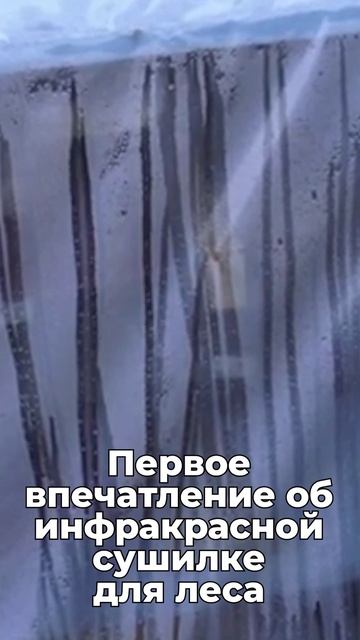 Раз Два Три Четыре ......Продолжаем) Продолжаем сушить слэбы кассетной сушилкой для пиломатериала!