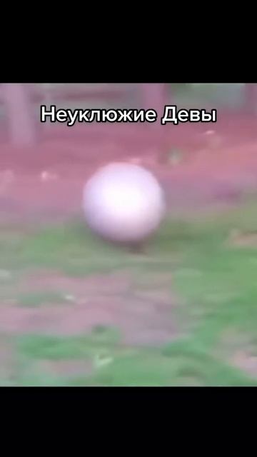 Крутой астролог https://t.me/astrobogi