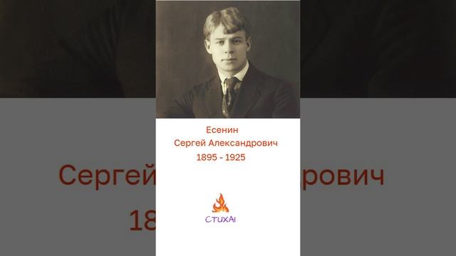Сергей Есенин. «Не бродить, не мять в кустах багряных...»