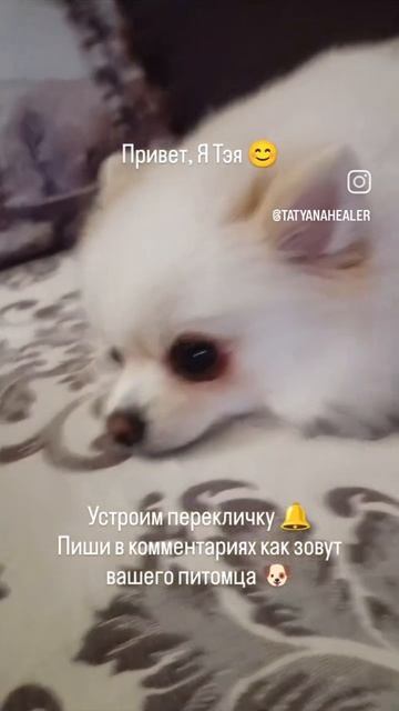 🩵🩵🩵