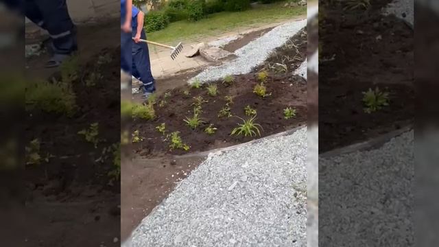 ролик колледж искусств (1)