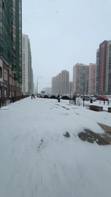 Питер накрыло снегом