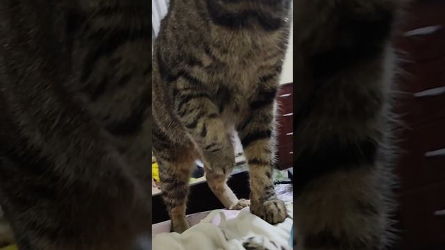 Наш вечер