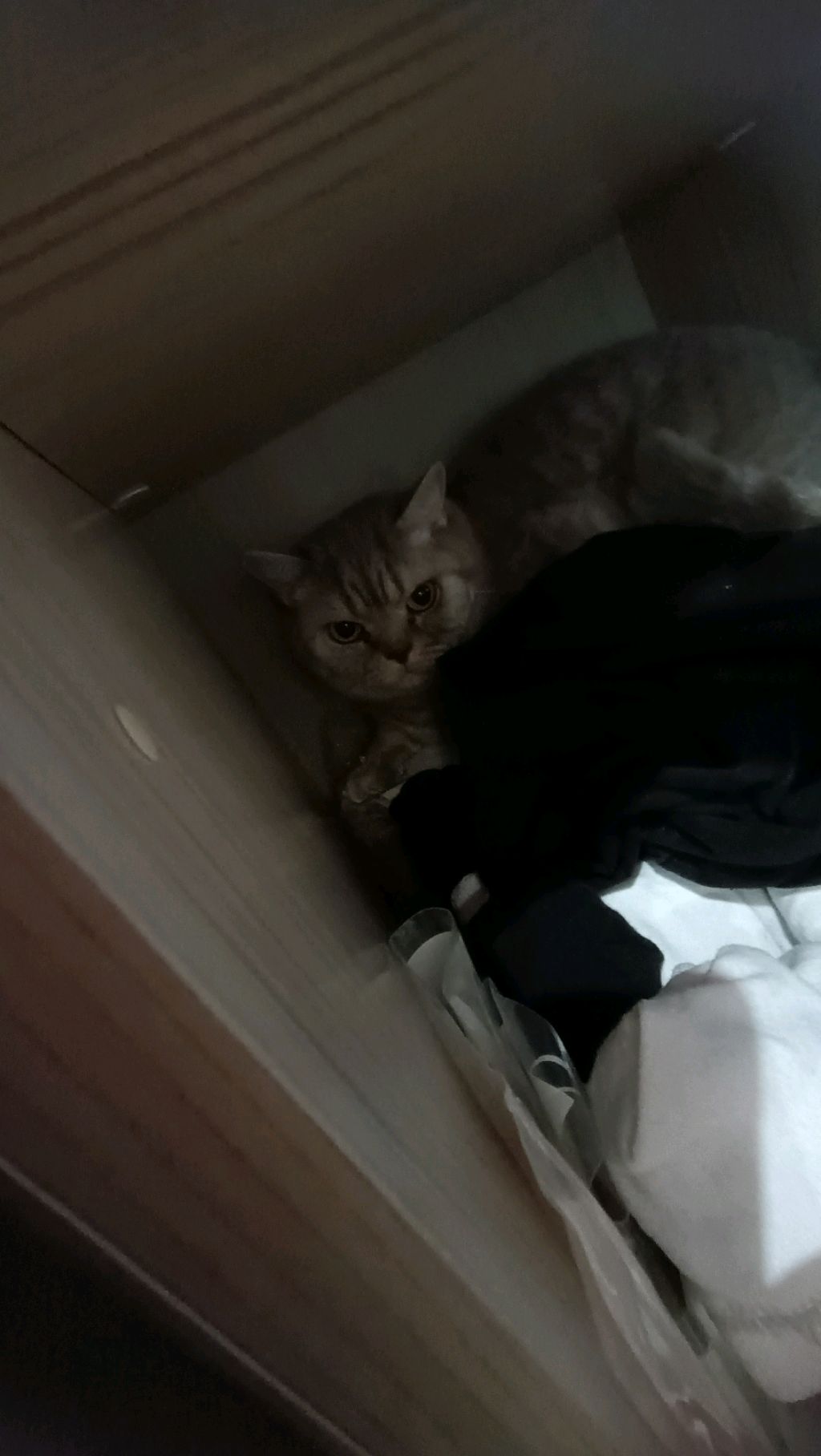 э