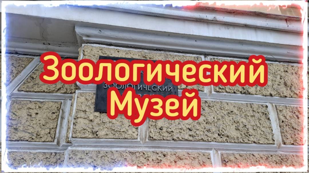 Зоологический музей