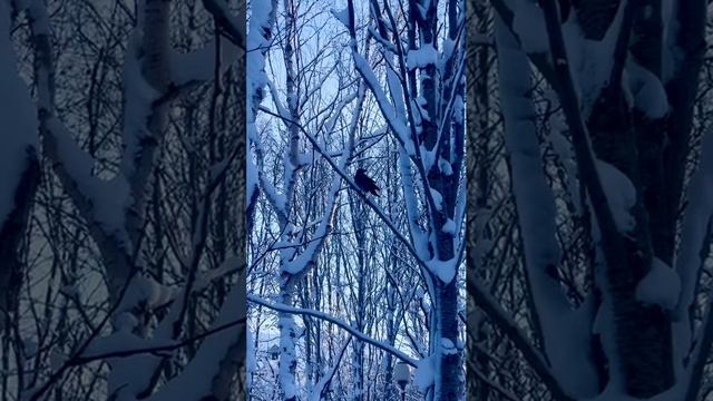 Прогулка по аллее