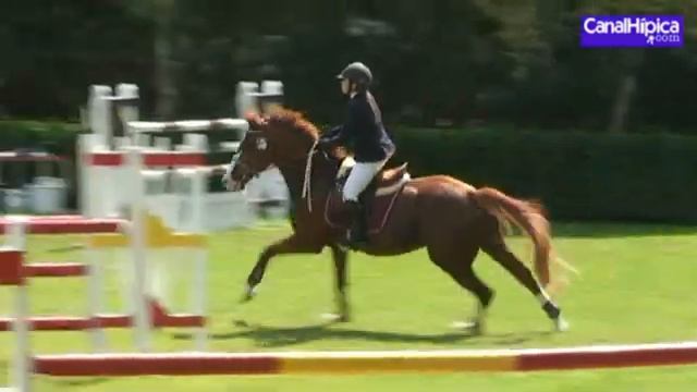 Alicia González Donapetry con Lunatic Medalla de Oro Cadetes 5.09.10
