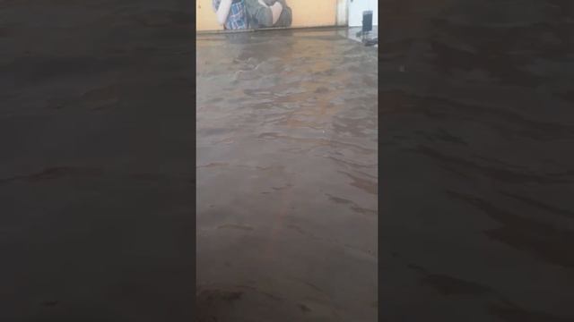 в Красноярске 10 06 2020 был дождь