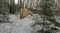 Выпал снег.Завтрак