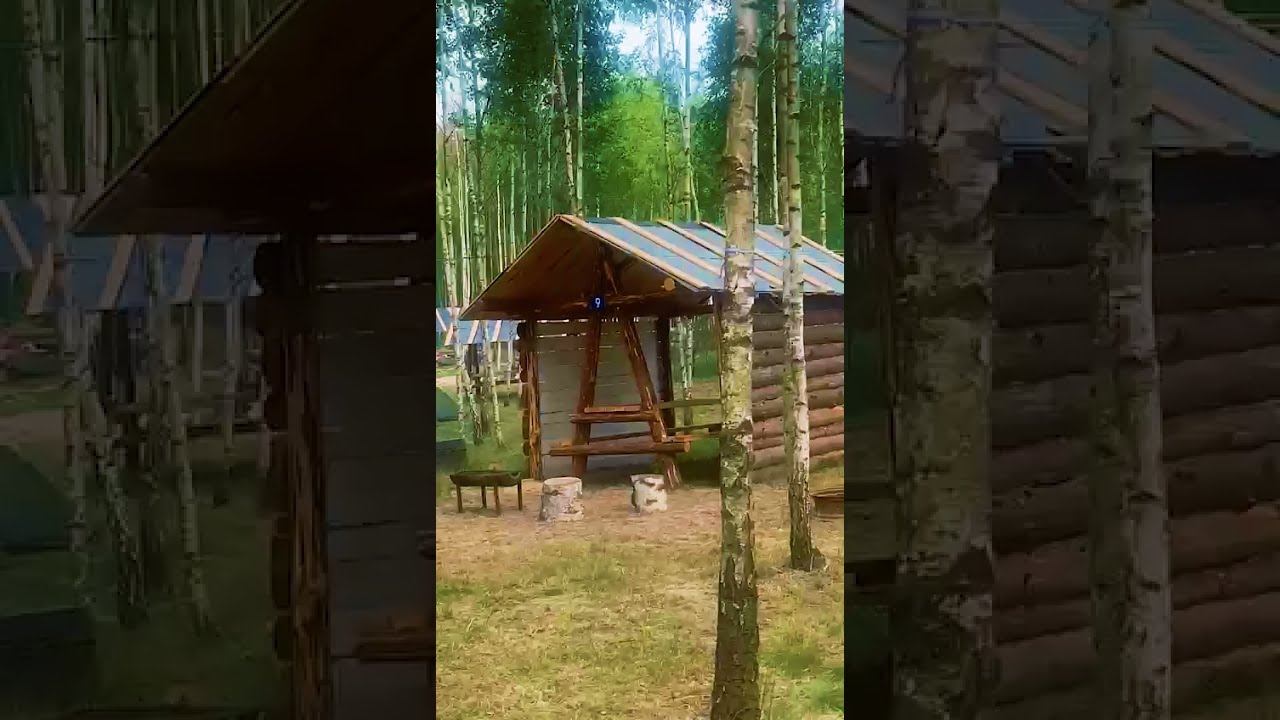 Территория кемпинга