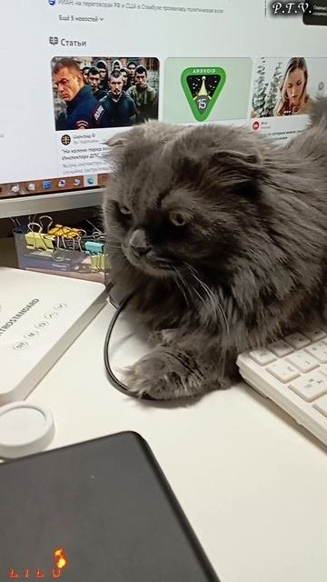 Как там в мире