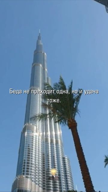МУДРОСТЬ В ЦИТАТАХ