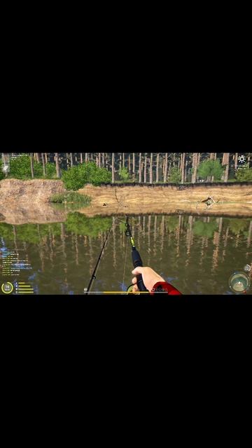 Трофейная перловица РР4! #рыбалка #fishing #shorts #рр4
