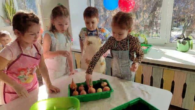 посадка лука