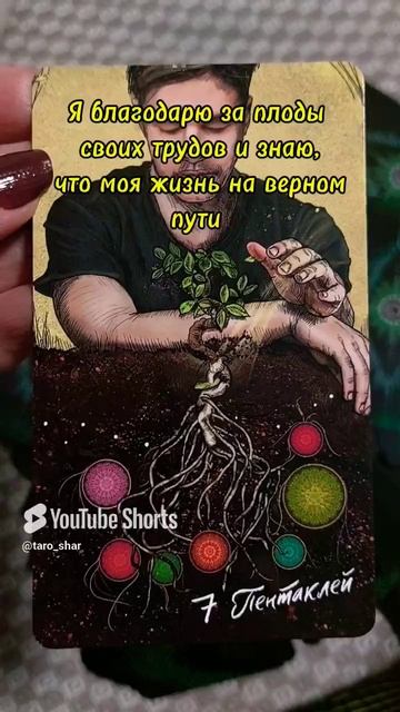 Карта дня 11 апреля