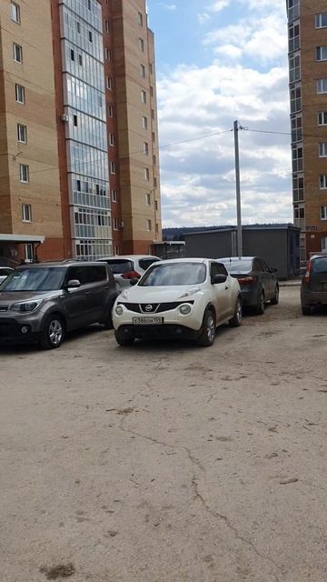 пончик
