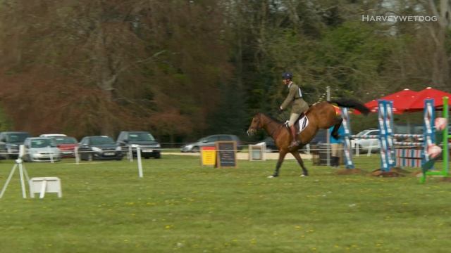 William Fox-Pitt novice eventing show jumping from Cirencester Park (2) Horse Trials 2024 #eventing